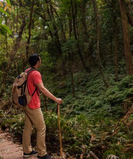A colorful indoor play area for young children, equipped with safe toys, slides, and soft mats.