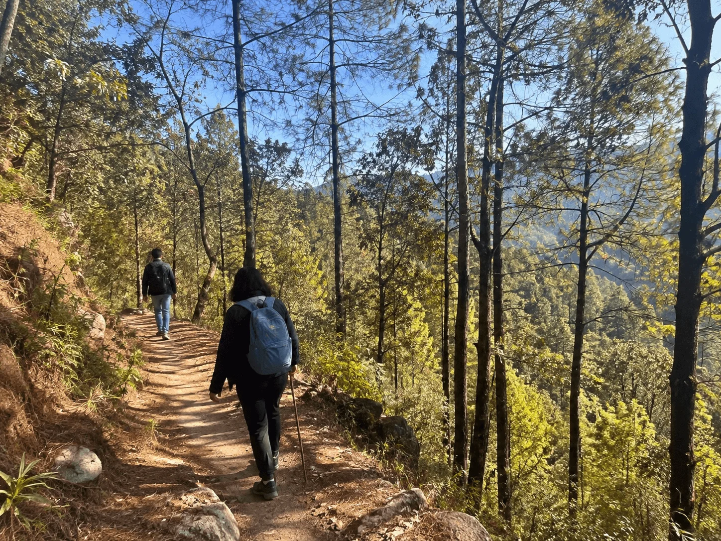 Guest practicing yoga and meditation at Ojaswi Resort in Mukteshwar, surrounded by lush gardens and Himalayan nature for wellness and relaxation