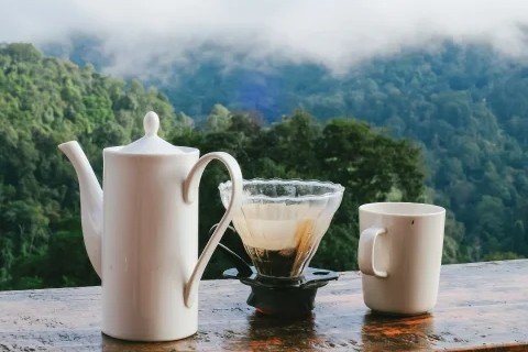 celebrate good friday long weekend at ojaswi himalayan resort